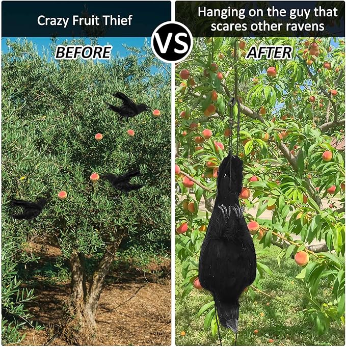 Lewtemi 2 Pcs 17 Inch Realistic Hanging Dead Crows Decoy Life Size Black Feathered Crow Fake Black Crows for Garden Decorations