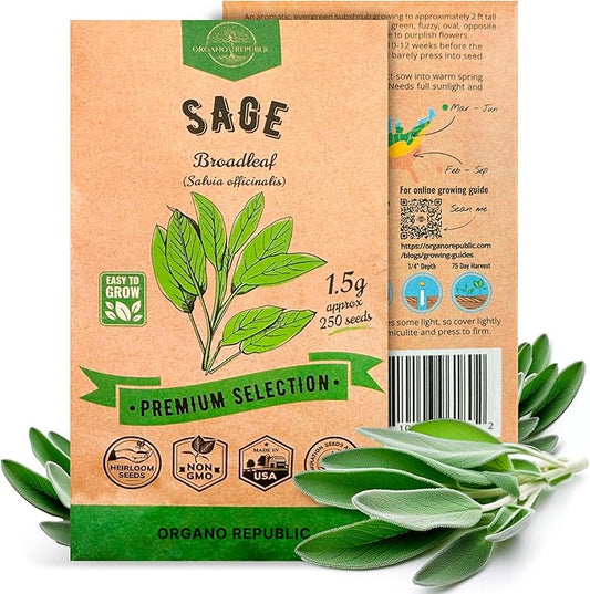 Sage Seeds Pack 1.5 G - Over 250 Non-GMO Heirloom Sage Seeds for Planting Herbs in Individual Seed Packet, Herbs Seeds for Planting Home Garden Indoor & Outdoor Gardening