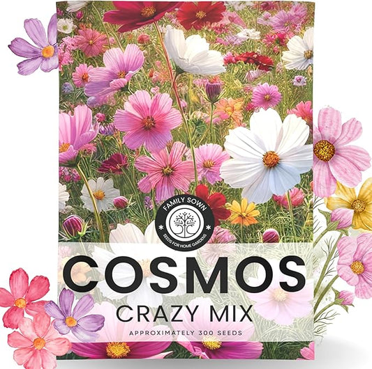 Crazy Cosmos Mix - Large 2,500mg Envelope - 300 Flower Seeds for Planting - Cosmos bipinnatus