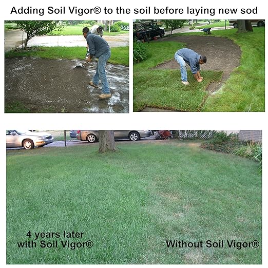 Commercial Grade Super Absorbent Polymer Potassium Based Water Crystal (20 Pound)