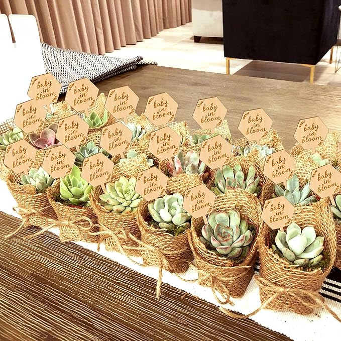 Baby in Bloom Succulent Tags Baby Shower Favors Gifts, PARBEE 20PCS Hexagon Plant Stakes Labels Gift Wooden Garden Stakes Succulent Plant Markers