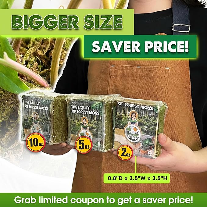 DUSPRO Dried Moss for Potted Plants, Forest Orchid Moss for Potting Mix, Sphagnum Potting Moss for Plants Indoor, Real Moss Soil Cover for Houseplant (5 OZ)