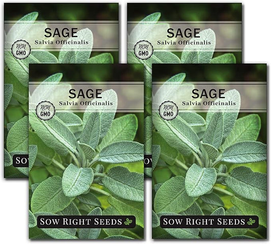 Sow Right Seeds - Sage Seeds for Planting - Non-GMO Heirloom Packet with Instructions to Plant and Grow Kitchen Herb Garden - Indoor or Outdoor - Great for Pollinators - Culinary Seasoning (4)
