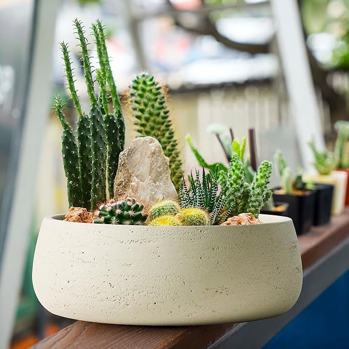 Olly & Rose Large Ceramic Planter Bowl Shallow Plant Pot - Off White Cream Ivory Flower Pot Indoor and Outdoor Decorative Bowl Garden and Home Décor