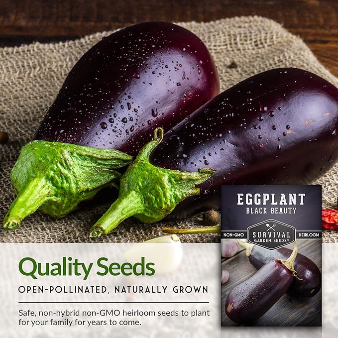 1 Pack Black Beauty Eggplant Seed for Planting - Packet with Instructions to Grow Purple Aubergine Plants in Your Home Vegetable Garden - Non-GMO Heirloom Variety - Survival Garden Seeds