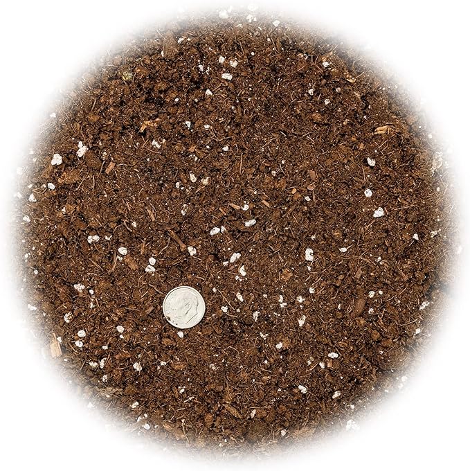 Grow Tasty Mandarins with Gardenera's Quick Drain Soil Mix - Perfect for Planting and Repotting Citrus Trees - 5 Quart