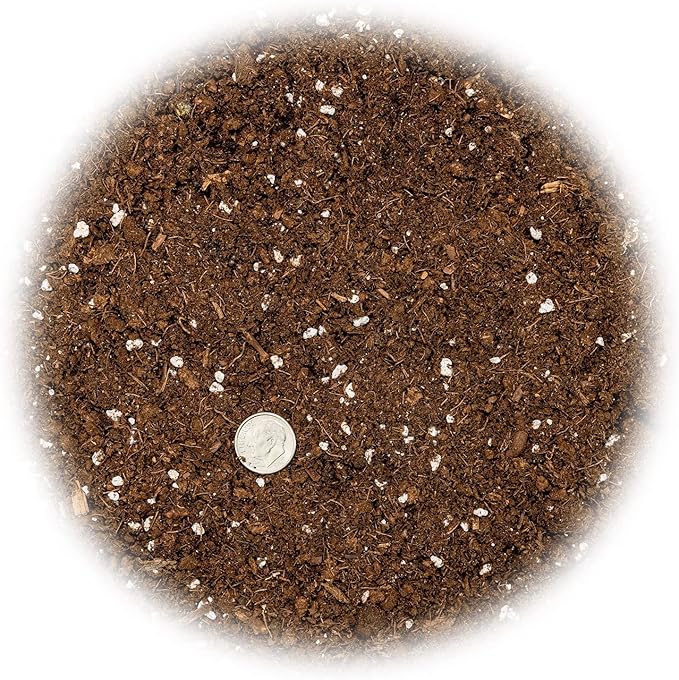 Gardenera's Premium Lime Soil Mix - Fast-Draining Potting Soil for Growing and Repotting Citrus Aurantifolia - 5 Quart