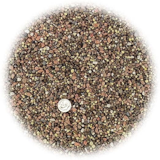 Premium 8-10-10 Fertilizer for Palm Trees, Citrus Plants and Other Tropical Plants by Gardenera - Boost Biomass and Enhance Leaf Color - 20 Quart