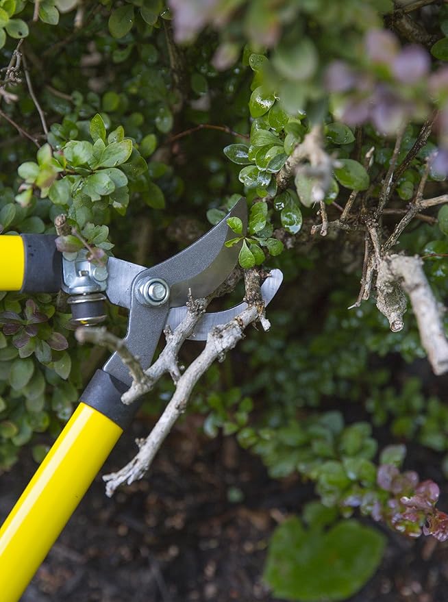 H.B. Smith Tools 3-Piece Pruner Set for Lawn and Garden