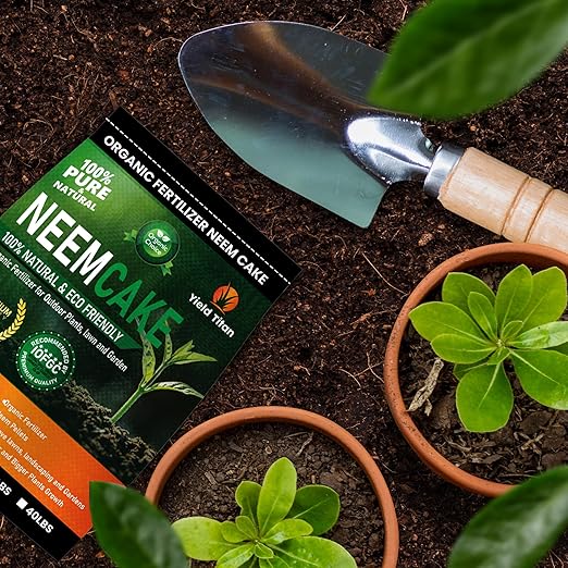 Premium Neem Cake, Natural Fertilizer for Gardening and Soil Amendment (6LB)