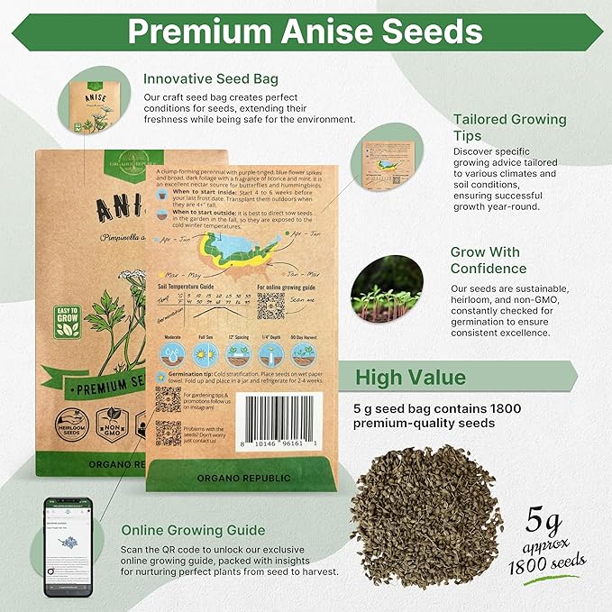 Anise Seeds Pack 5G - Over 1800 Non-GMO Heirloom Anise Seeds for Planting Herbs in Individual Seed Packet, Herbs Seeds for Planting Home Garden Indoor & Outdoor Gardening