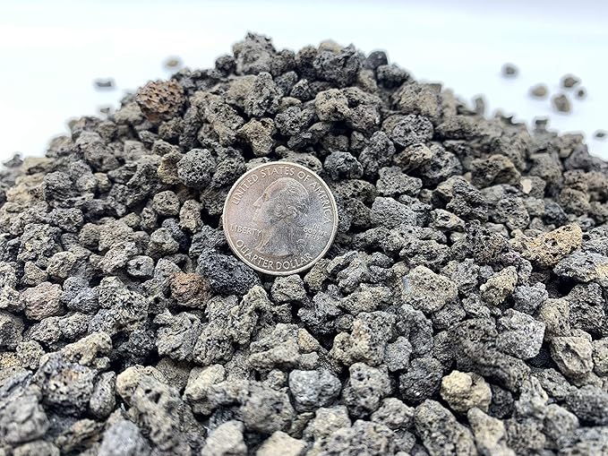 Black Lava Rock | 2 Quarts Bag | 1/4” Particle Size | Soil Aggregate for Bonsai, Cactus, Succulents, and More | Enables Optimal Drainage and Soil Aeration | The Bonsai Supply