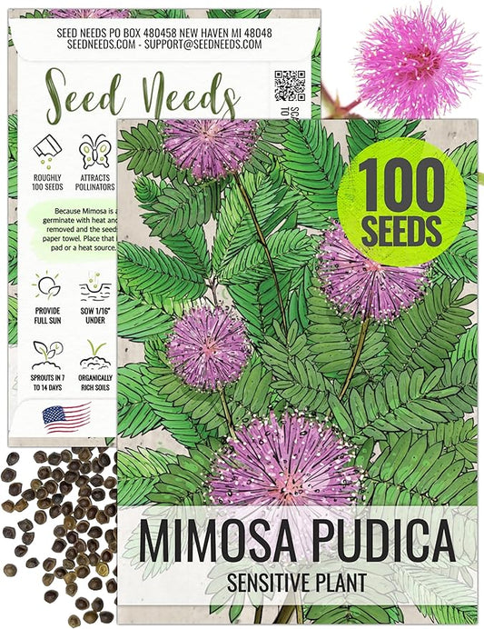 Seed Needs Sensitive Plant Seeds for Planting Mimosa pudica - Heirloom & Open Pollinated Annual Flowers - Pink Blooms with Leaves That React to Touch (1 Pack)