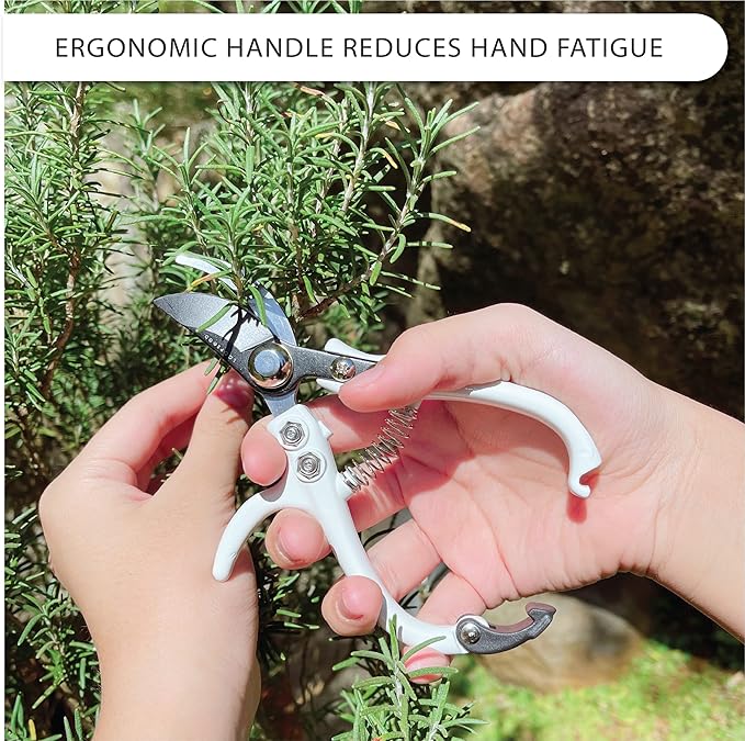Bypass Pruning Shears Hand Pruner Garden Trimming Scissors Plant Trimmers Herb Snips Flower Clippers Ergonomic Handle Modern Garden Tools