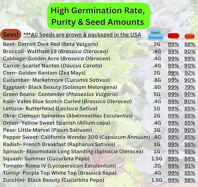 B&KM Farms Heirloom Seed Vault, 20 Varieties, 20,000+ Non-GMO Seeds, Long-Term Storage (Regular, Small)