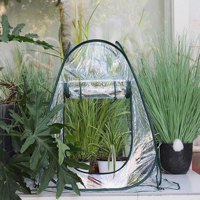 Gardzen 27"x27"x31" Pop up Grow Greenhouse Small Greenhouse, Portable Plant Flowers Mini Green House Cover for Outdoor & Indoor Use