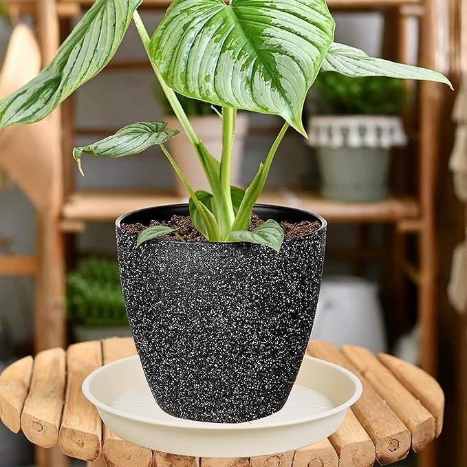 6 Pack of Plant Saucer Tray 7 8 inch, Heavy Duty Plastic Pot Plant Drip Trays Saucers for for Indoors Outdoor, Plant Water Tray for Planters 7-9" (8", Beige)