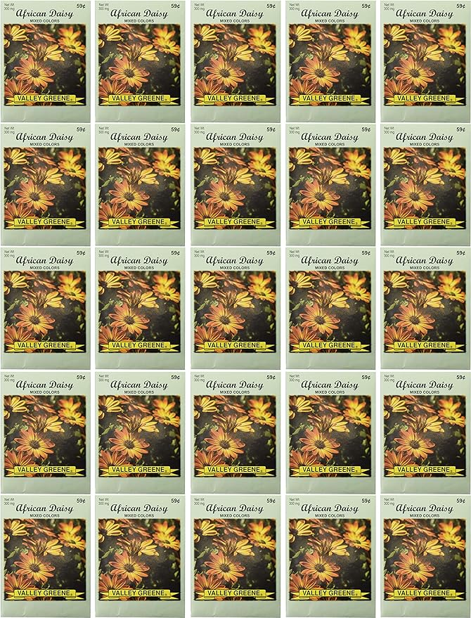 Black Duck Brand Set of 25 African Daisy Flower Seed Packets! Flower Seeds in Bulk - Great for Creating The Garden of Your Dreams! (25, African Daisy)