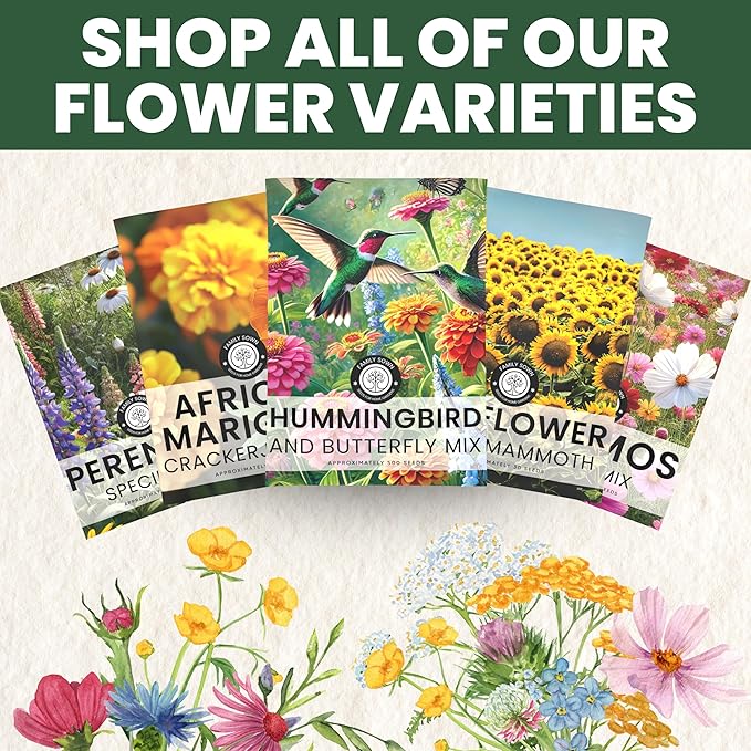 Crazy Cosmos Mix - Bulk 1/4 Pound Pouch - 20,000 Flower Seeds for Planting - Cosmos bipinnatus