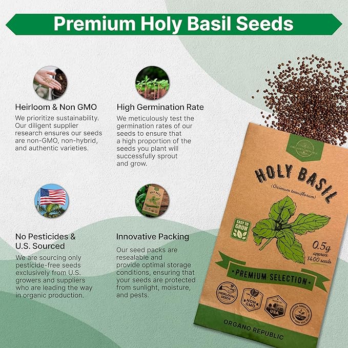 Holy Basil Seeds Pack 0.5 G - Over 1,400 Non-GMO Heirloom Basil Seeds for Planting Herbs in Individual Seed Packet, Herbs Seeds for Planting Home Garden Indoor & Outdoor Gardening