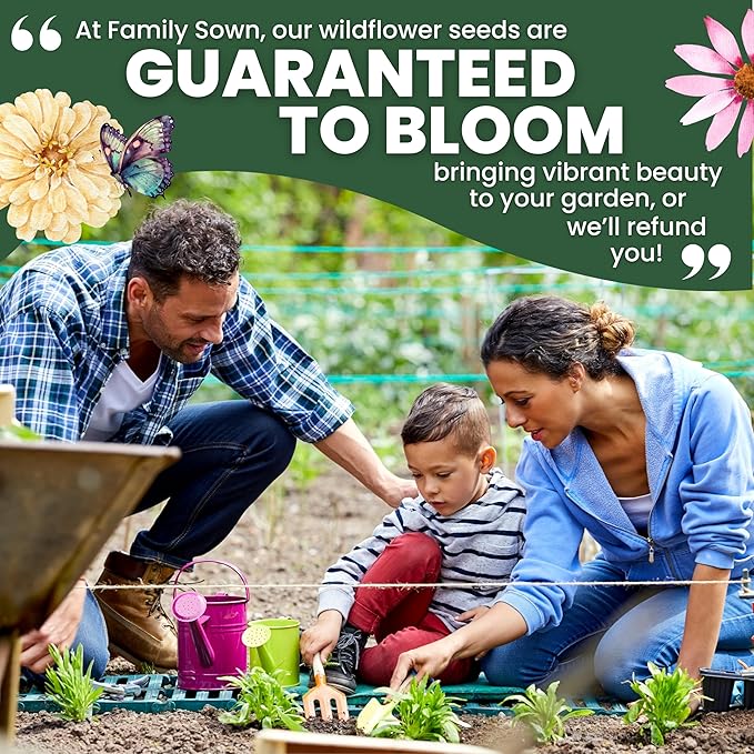 Hummingbird Butterfly Mix - Large 2,500mg Envelope - 500 Flower Seeds for Planting - Wildflower Mix