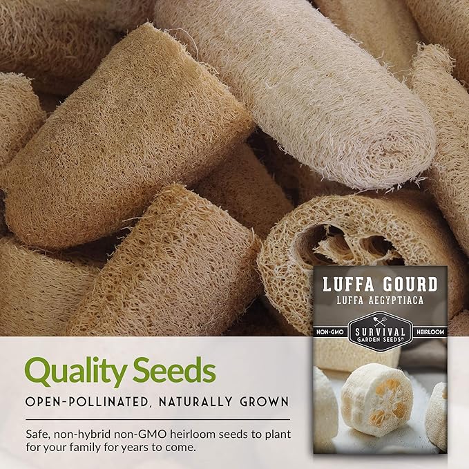 Survival Garden Seeds - Luffa or Loofah Seed for Planting - Packet with Instructions to Plant and Grow Ornamental Gourds in Your Home Vegetable Garden - Non-GMO Heirloom Variety - 2 Pack