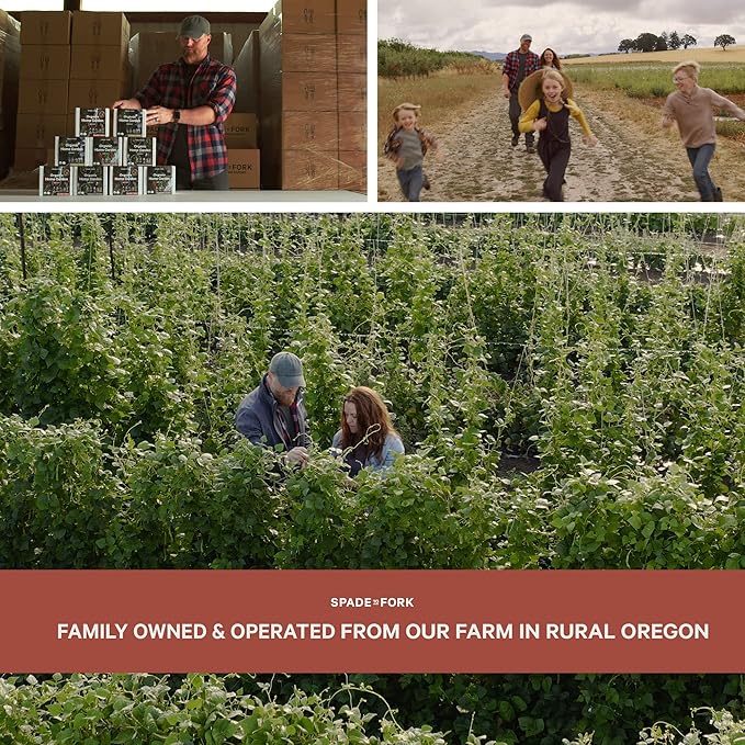 Organic Indoor Salsa Garden Starter Kit - Made in USA - Certified USDA Organic - 5 Seed Types San Marzano & Cherry Tomato, Jalapeño, Cilantro, Green Onion - Potting Soil, Indoor Herb Garden Kit