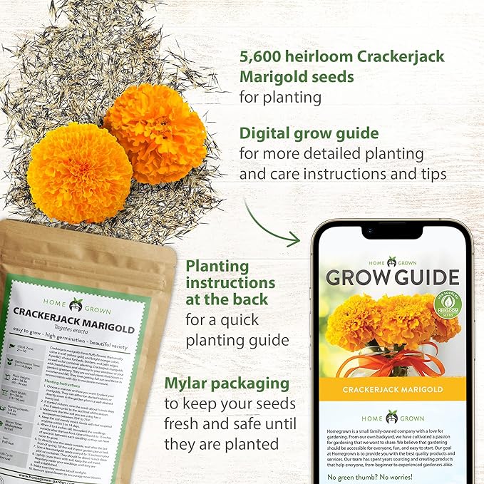 HOME GROWN Marigold Seeds Bulk Mix - 5600+ Crackerjack Marigold Flower Seeds for Planting Outdoors - Flowers Seed for Companion Planting - Wildflower African Marigold Seeds (Tagetes erecta)