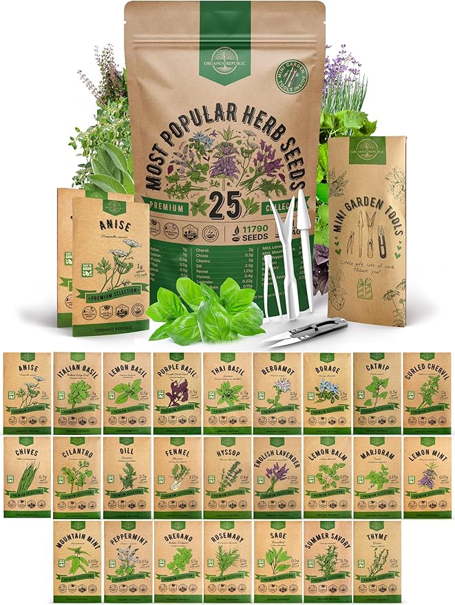 25 Most Popular Herb Seeds Variety Pack - 11,700 Non-GMO Heirloom Seeds for Planting Herbs in Individual Seed Packets for Hydroponic, Indoor & Outdoor Gardening