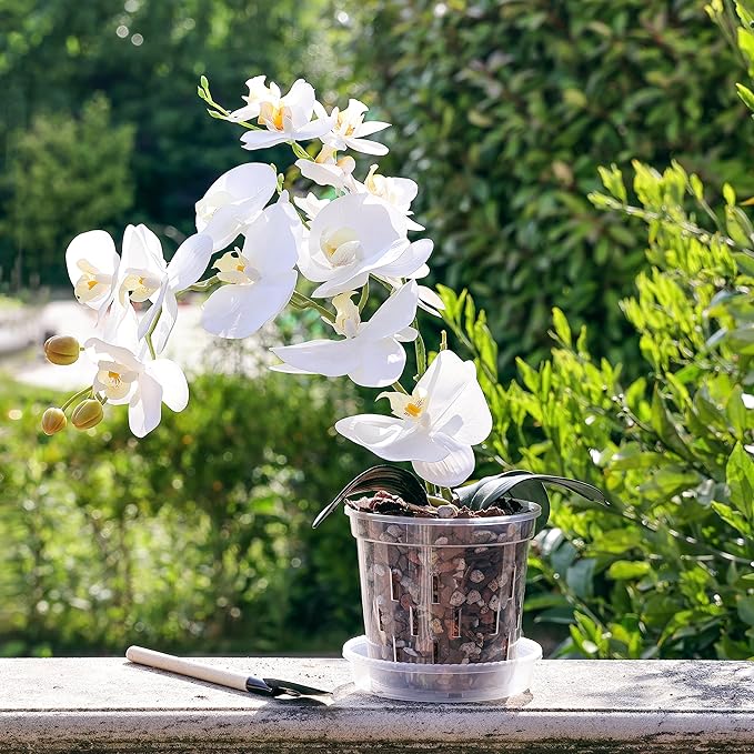 TRUEDAYS 6 Pack Orchid Pot with Saucers Garden Pot 5 Inch Clear Plastic Plant Pots with Drainage Holes for Indoor Outdoor Plants