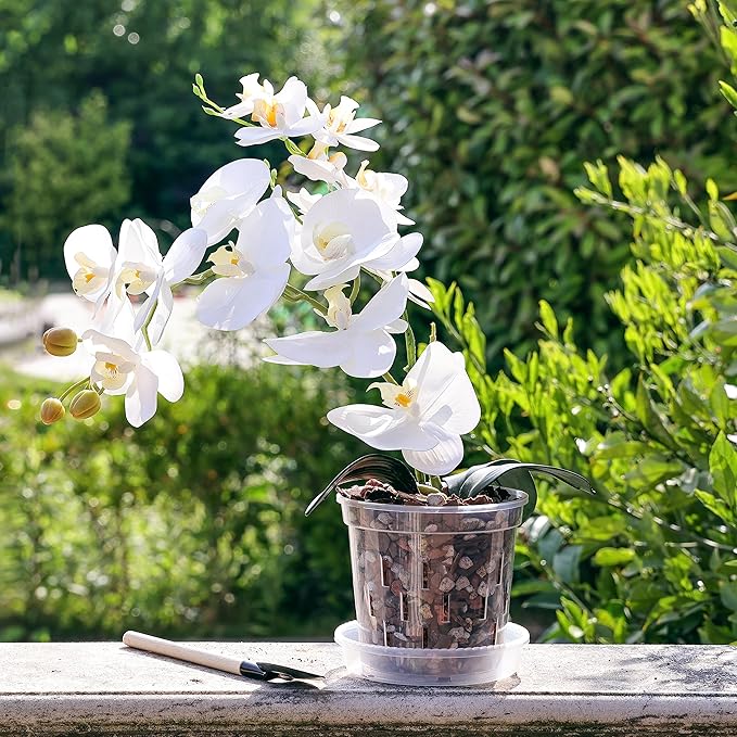 TRUEDAYS 4 Pack Orchid Pot with Saucers Garden Pot 5 Inch Clear Plastic Plant Pots with Drainage Holes for Indoor Outdoor Plants