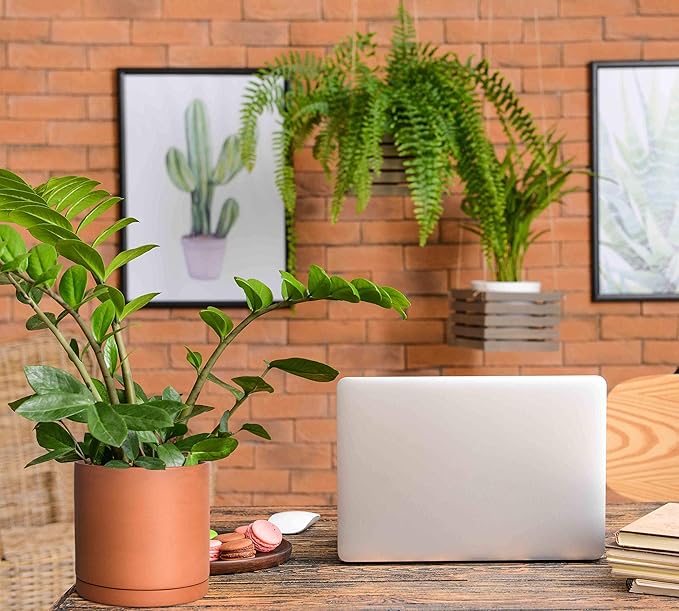 D'vine Dev Terracotta Pots for Plants, 6.5 Inch 7.8 Inch 9.6 Inch, Round Cylinder Planter Pot with Drainage and Saucer, 40-T-C-0