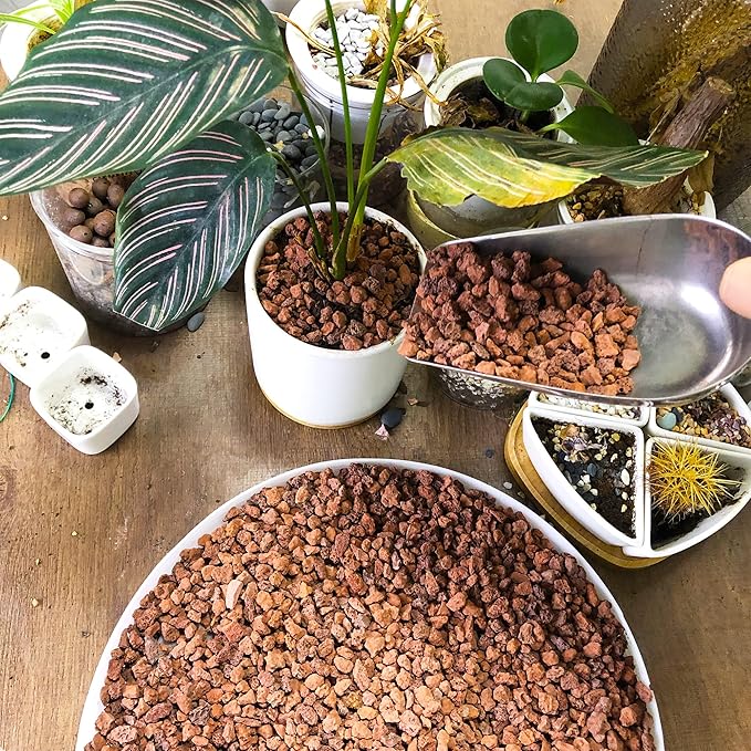 14LB Red Horticultural Lava Rocks Soil for Decorative Landscaping Bonsai, Cacti, Succulents Plants Top Dressing