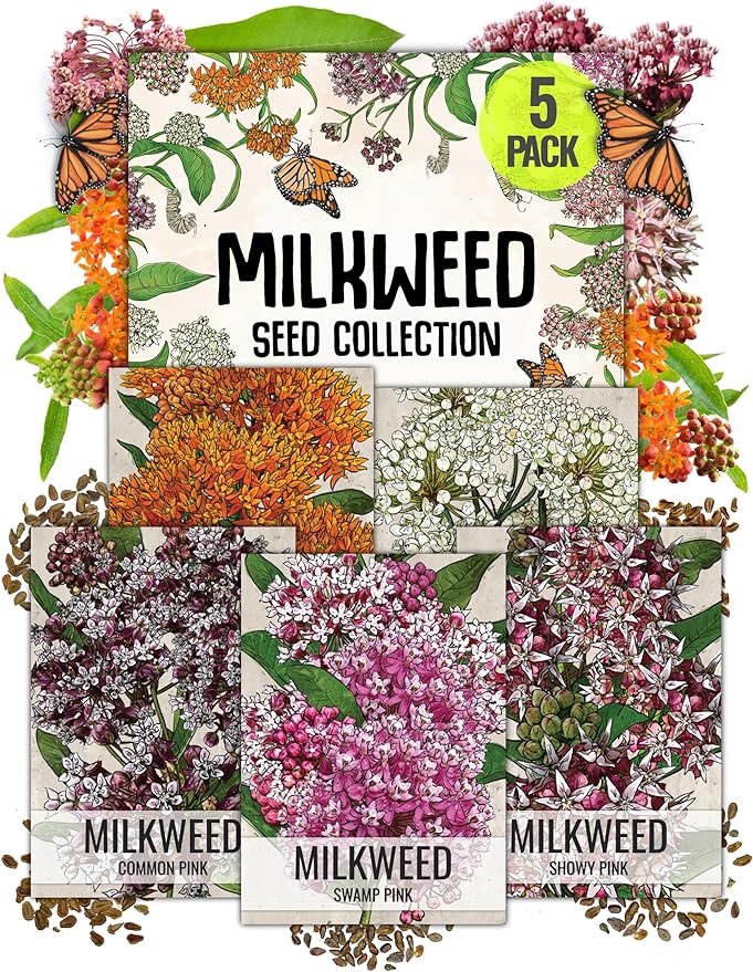 Seed Needs, Milkweed Seed Packet Collection to Attract Monarch Butterflies (5 Individual Seed Varieties to Plant) Heirloom & Untreated Seeds