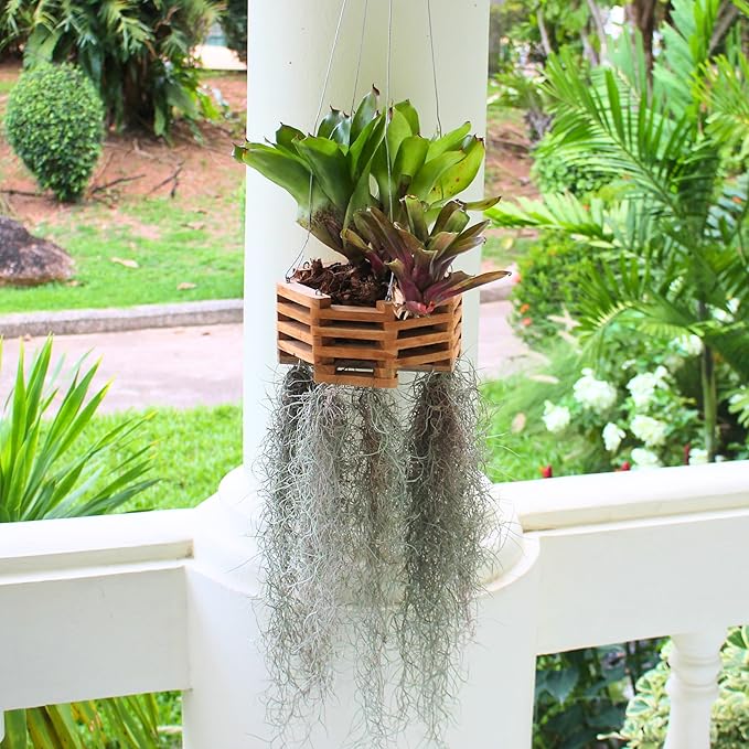 3 Wooden Octagon Shaped Orchid Baskets with Hangers. Rustic Handmade Vanda Baskets, Hanging Boxes