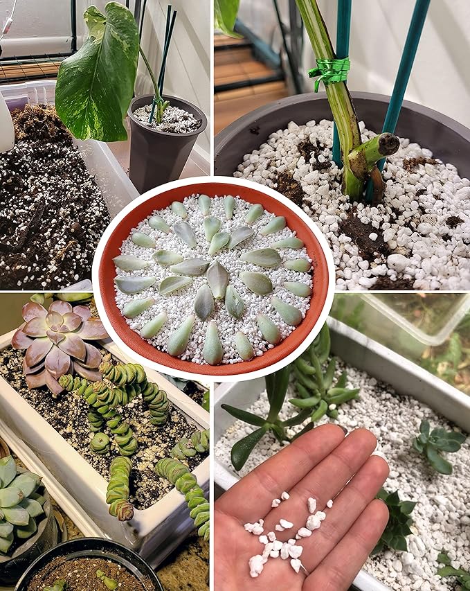 5 QT Professional Grade Horticultural Organic Perlite (5 QT, Perlite)