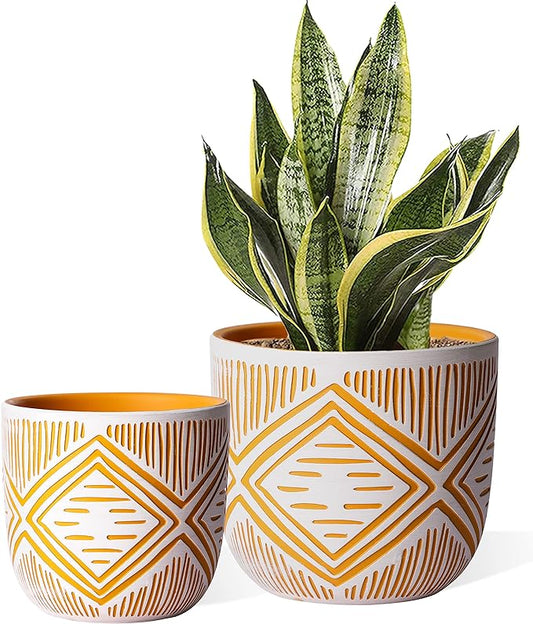 2 Boho Style Terra Cotta Pots, 6 Inch Yellow Plant Pots with Drainage Holes, Suitable for Indoor Plants Ferns,Vines, Succulents and Outdoor Plants Growing, a Gift for Plant Lovers
