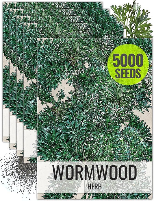 Seed Needs Wormwood Seeds for Planting - Non-GMO, Heirloom & Untreated Perennial Herb - Medicinal Herbs for Digestion & Gut Health (5 Packs)