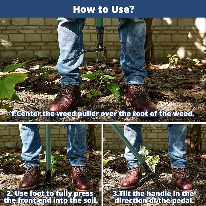 DEERFAMY Stand Up Weed Puller Tool with Long Handle, Garden Weeder Tool with 4-Claw Steel Head Design, Manual Weeder with 3-Metal Structure, Effortless Weeding Without Bending, for Dandelions, Green