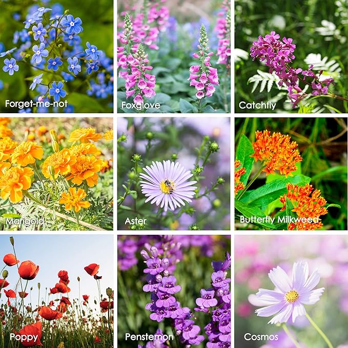 Wildflower Seeds Bulk, 2 Oz. 80,000+ Seeds, Butterfly and Hummingbird Seed Mix, 23 Non-GMO Varieties of Butterfly Garden Seeds for Planting - Hummingbird Flower Seeds, Butterfly Flower Seeds