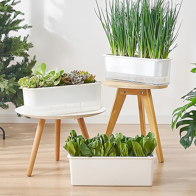 FAMZ Self Watering Pots 3 Pack,Transparent Rectangular Planting Pots, Self Watering Pots for Indoor Plants, Suitable for Growing African Violets, Fruits, Vegetables, Flowers, Plant Pots,Herb Planter