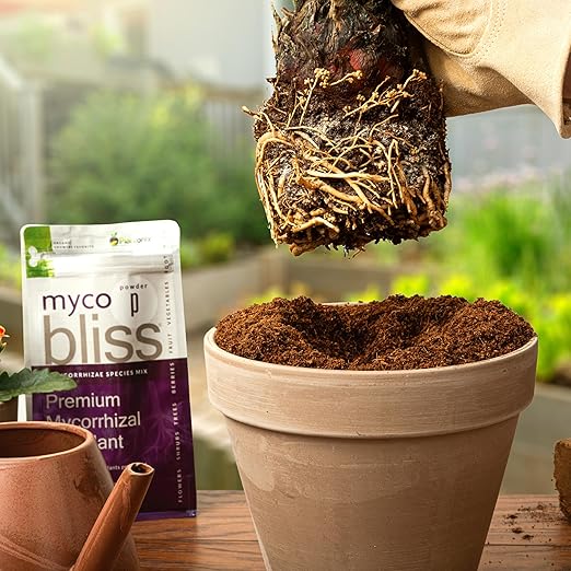 Myco Bliss Powder (200 g) - Mycorrhizal Fungi for Soil - 5 Strain Mycorrhizal Inoculant with 1000 Propagules Per Gram - Highly Concentrated Mycorrhizae for Plants, Potting Soil, & Garden Soil