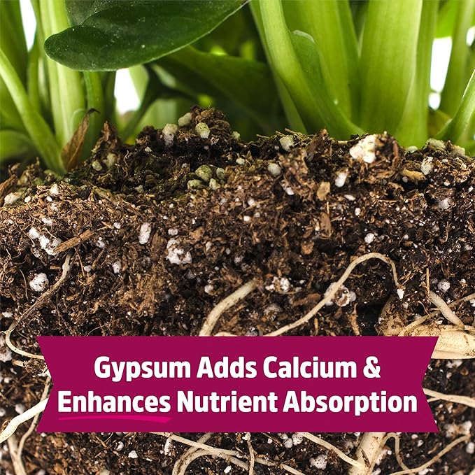 Back to the Roots 100% Organic Blood Meal | Made in The USA | Premium Nutrition for Indoor and Outdoor Plants