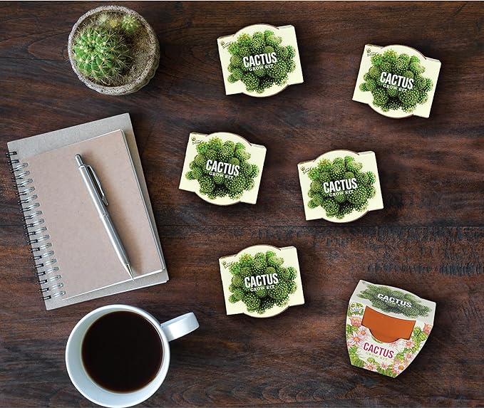 BUZZY Seeds Terracotta Mini Grow Pots | Herb, Plant, Flower Starter Kit for Kids & Adults | Mini Cactus 6-Pack, Daydream Collection | Guaranteed to Grow | Best Indoor Grow Your Own Plant