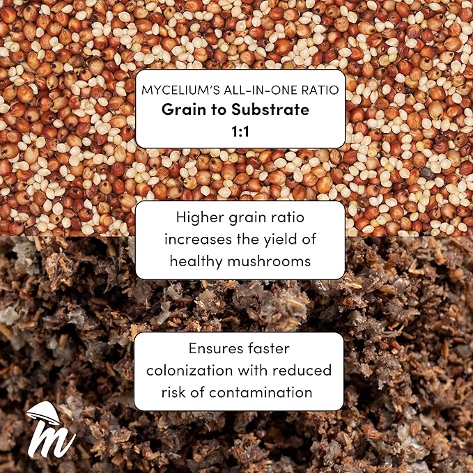Gourmet Functional Alder & Soy Hull Blend with Mycelium Plus Grains - Milo/Millet 60/40-8lbs Combo | Purple Mukitake Gourmet - 8LBS All-in-One & 20ML Syringe