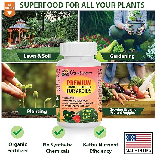 Aroid Plant Superfood - 8 oz - Organic Liquid Kelp Fertilizer for Thriving Aroid Growth