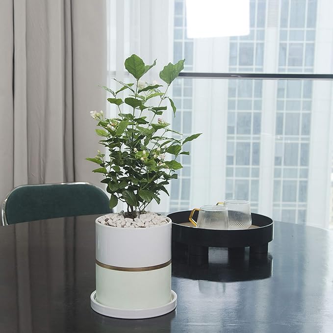 Ekirlin 8 inch Plant Pot - Ceramic Flower Planters Indoor - Modern Succulents Containers with Drain Hole Saucer, Decorate Home, Office & Outdoor (Green)