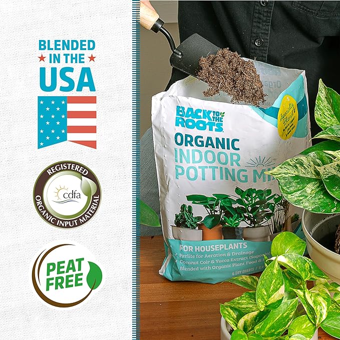 Back to the Roots 100% Organic Indoor Potting Mix (Value 12 Quart) | Promotes Healthy Houseplant Growth| Made in The USA