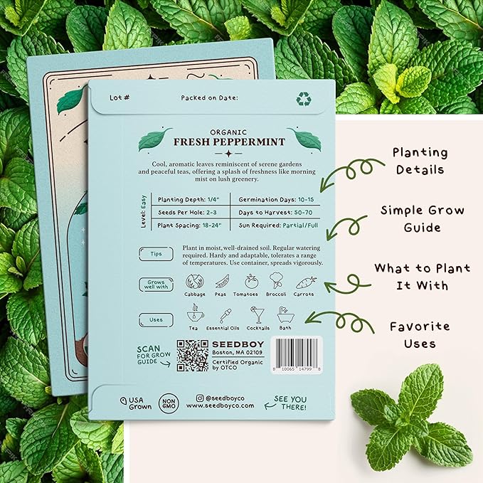 Organic Peppermint Herb Seeds for Indoor Gardening or Planting Outdoors, Non-GMO and USDA Certified Herb Seed Packets, 250 Seeds/20 mg (Peppermint)