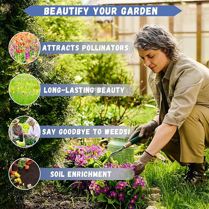 20000+ Creeping Thyme Seeds for Planting -Perennial Ground Cover Plants Flowers Non-GMO Heirloom